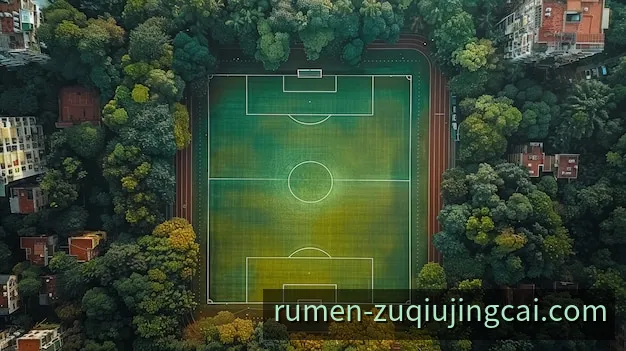 足球比赛中场空间与阵型变化的宽幅场景